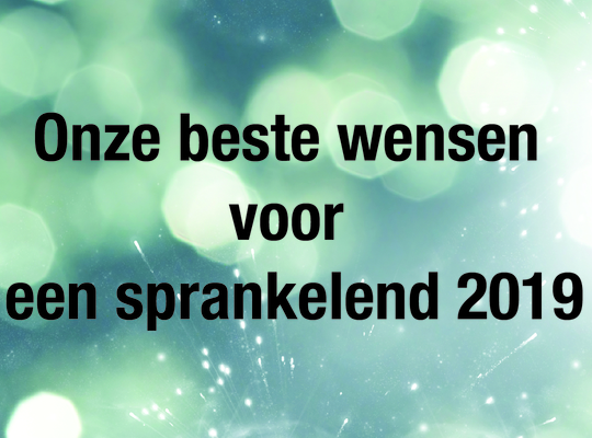 Nieuwjaarsreceptie 2019 nieuwjaar 2019