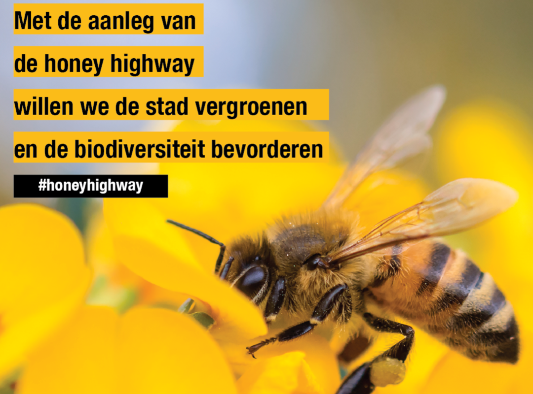 Geelse Honey Highway - visual
