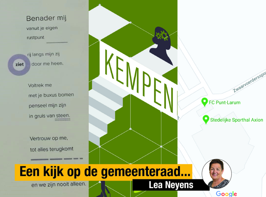 Een persoonlijke kijk op de gemeenteraad Lea Neyens Een persoonlijke kijk op de gemeenteraad Lea Neyens